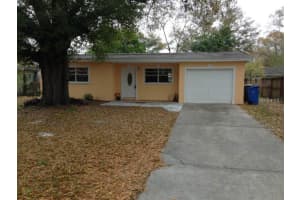 4919 Murray Hill Dr, TAMPA