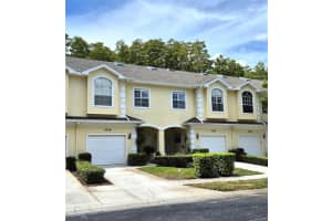 3438 PRIMROSE WAY, PALM HARBOR, FL 34683 - MLS#MFRTB8414288
