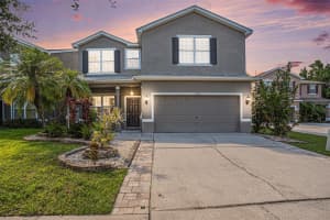 12507 BAY BRANCH COURT, TAMPA, FL 33635 - MLS#MFRTB8414332