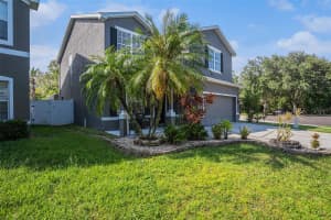 12507 BAY BRANCH COURT, TAMPA, FL 33635 - MLS#MFRTB8414332