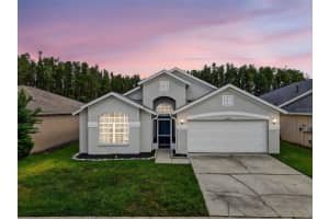30642 NICKERSON LOOP, WESLEY CHAPEL, FL 33543 - MLS#MFRTB8414365