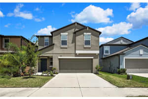 17901 Cloudless Bliss Dr, LUTZ