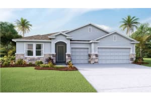 2233 Sienna Spruce St, WESLEY CHAPEL