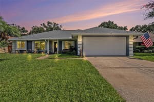 15146 Springview St, TAMPA