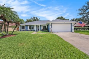 15146 SPRINGVIEW STREET, TAMPA, FL 33624 - MLS#MFRTB8414422
