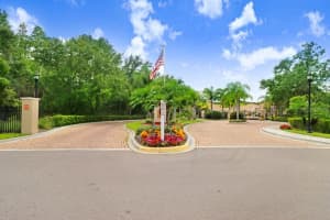 1195 GODAVARI WAY, WESLEY CHAPEL, FL 33543 - MLS#MFRTB8414425
