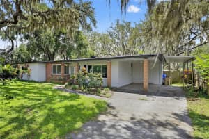 409 Dunedin Ave, TEMPLE TERRACE