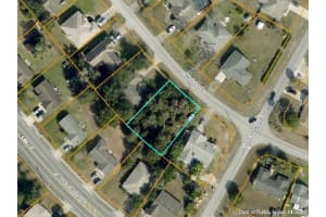 1010 SWANSON DRIVE, DELTONA, FL 32738 - MLS#MFRTB8414442