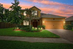 1653 Nature View Dr, LUTZ