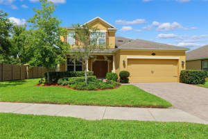 1653 NATURE VIEW DRIVE, LUTZ, FL 33558 - MLS#MFRTB8414454