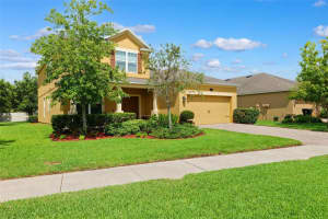 1653 NATURE VIEW DRIVE, LUTZ, FL 33558 - MLS#MFRTB8414454