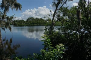 TIBERIUS TRL, NEW PORT RICHEY, FL 34652 - MLS#MFRTB8414497
