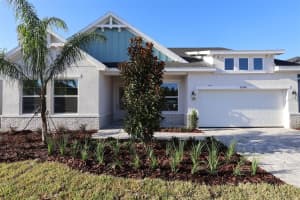 31486 Hayman Loop, WESLEY CHAPEL