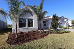 31486 HAYMAN LOOP, WESLEY CHAPEL, FL 33545 - MLS#MFRTB8414503