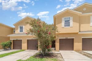 1984 HAWKS VIEW DRIVE, RUSKIN, FL 33570 - MLS#MFRTB8414509