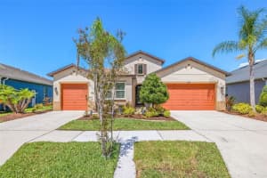 1819 Whitewillow Dr, WESLEY CHAPEL
