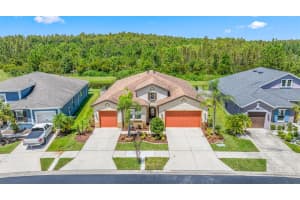 1819 WHITEWILLOW DRIVE, WESLEY CHAPEL, FL 33543 - MLS#MFRTB8414565
