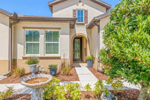 1819 WHITEWILLOW DRIVE, WESLEY CHAPEL, FL 33543 - MLS#MFRTB8414565