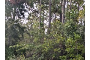 523 AZALEA DRIVE, INDIAN LAKE ESTATES, FL 33855 - MLS#MFRTB8414576