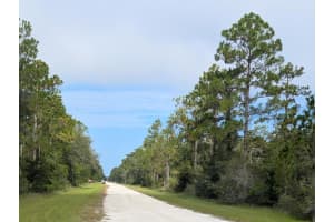 523 AZALEA DRIVE, INDIAN LAKE ESTATES, FL 33855 - MLS#MFRTB8414576