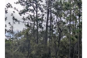523 AZALEA DRIVE, INDIAN LAKE ESTATES, FL 33855 - MLS#MFRTB8414576