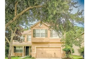 7322 Bridgeview Dr, WESLEY CHAPEL