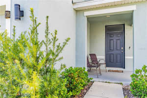 16051 WEATHERED WINDMILL TERRACE, ODESSA, FL 33556 - MLS#MFRTB8414585