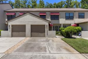 605 QUAIL KEEP DRIVE, SAFETY HARBOR, FL 34695 - MLS#MFRTB8414586