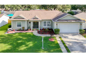5825 BITTER ORANGE AVENUE, TAMPA, FL 33625 - MLS#MFRTB8414588