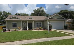 5825 BITTER ORANGE AVENUE, TAMPA, FL 33625 - MLS#MFRTB8414588
