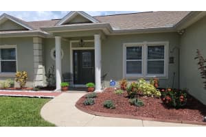 5825 BITTER ORANGE AVENUE, TAMPA, FL 33625 - MLS#MFRTB8414588