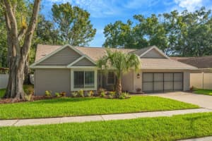 10301 BELLWOOD AVENUE, NEW PORT RICHEY, FL 34654 - MLS#MFRTB8414589
