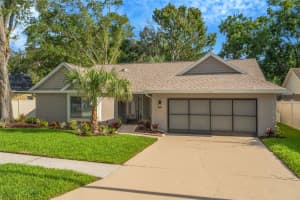 10301 BELLWOOD AVENUE, NEW PORT RICHEY, FL 34654 - MLS#MFRTB8414589