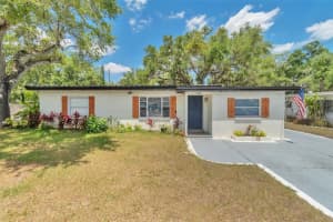 3202 E Jean St, TAMPA