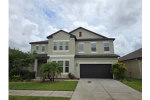 11839 Cross Vine Dr, RIVERVIEW