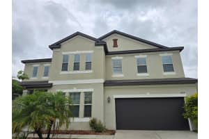 11839 CROSS VINE DRIVE, RIVERVIEW, FL 33579 - MLS#MFRTB8414640