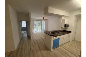 17108 CARRINGTON PARK DRIVE, TAMPA, FL 33647 - MLS#MFRTB8414652