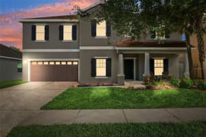 11206 Coventry Grove Cir, LITHIA