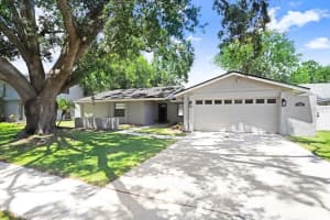 4605 Freshwind Ave, TAMPA