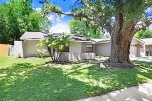 4605 FRESHWIND AVENUE, TAMPA, FL 33624 - MLS#MFRTB8414704