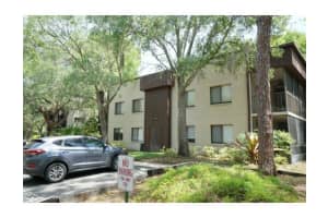 11713 RAINTREE VILLAGE BOULEVARD, TEMPLE TERRACE, FL 33617 - MLS#MFRTB8414731