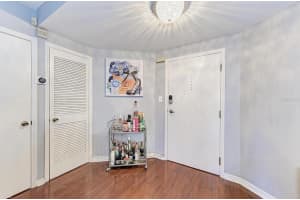 2315 CLEWIS COURT, TAMPA, FL 33629 - MLS#MFRTB8414737