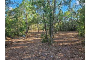 ALFORD LN, SPRING HILL, FL 34610 - MLS#MFRTB8414754