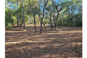 ALFORD LN, SPRING HILL, FL 34610 - MLS#MFRTB8414754