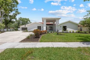 14043 Wolcott Dr, TAMPA