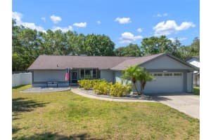 4710 Grainary Ave, TAMPA