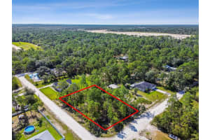 00 MAYBIRD AVENUE, WEEKI WACHEE, FL 34613 - MLS#MFRTB8414855