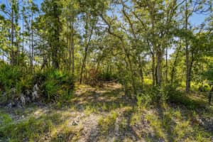 00 MAYBIRD AVENUE, WEEKI WACHEE, FL 34613 - MLS#MFRTB8414855