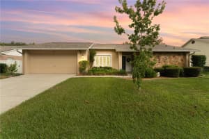 1206 Carrie Wood Dr, VALRICO
