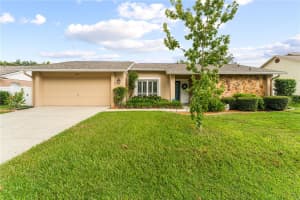 1206 CARRIE WOOD DRIVE, VALRICO, FL 33596 - MLS#MFRTB8414864